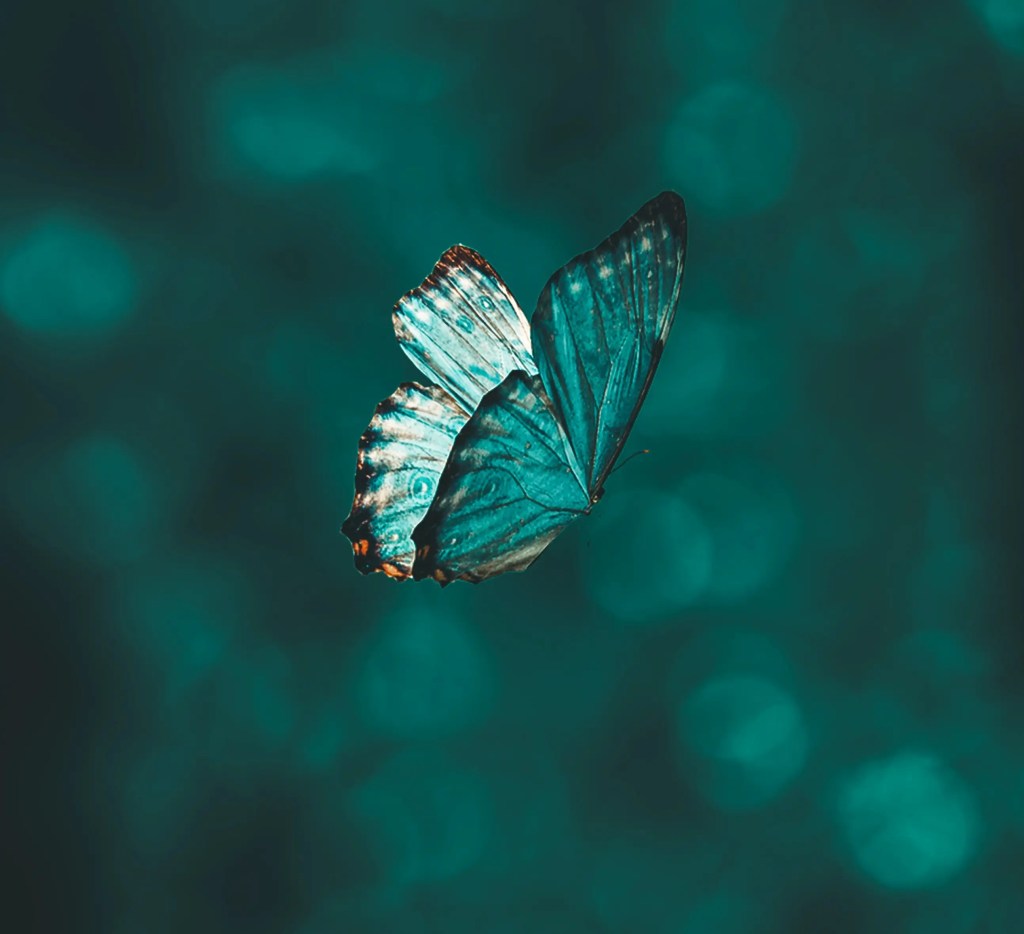 A New Creation in Christ- your&nbsp;Identity