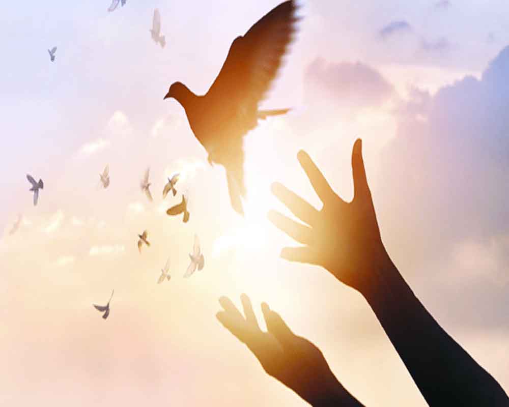 Forgiveness (2)- Biblical&nbsp;benefits