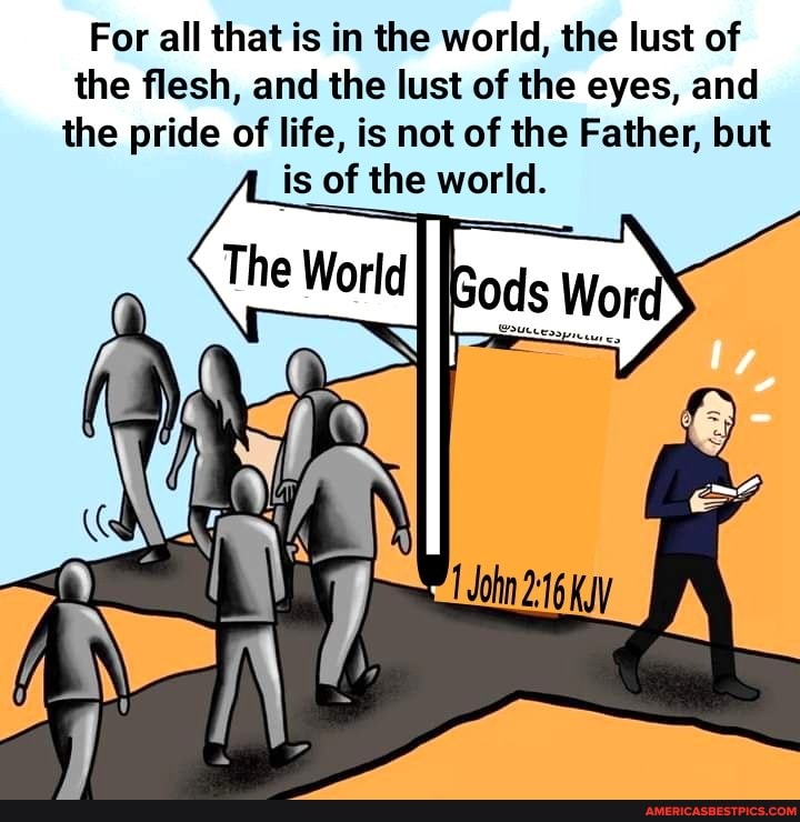 Guard your mind (4)- Lack of proper&nbsp;knowledge